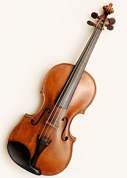 Violon