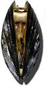 Moule