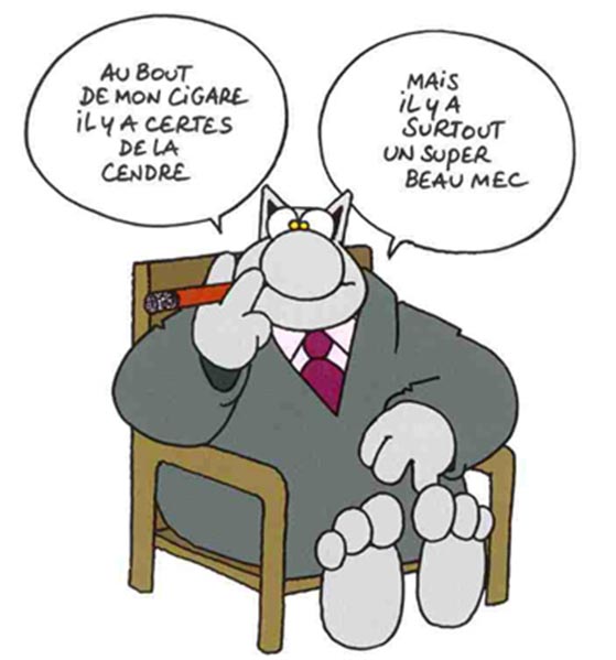 Chat au bout du cigare